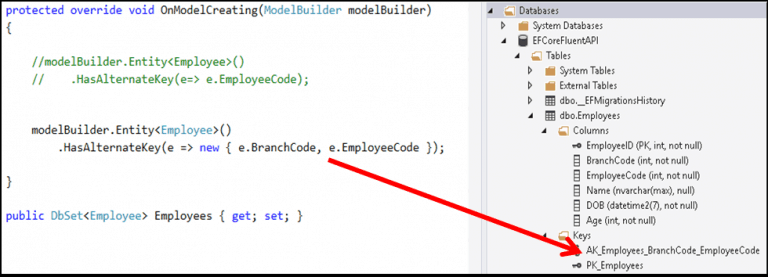 Entity Framework Core HasAlternateKey Method - TekTutorialsHub